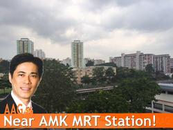 ang-mo-kio-avenue-3 photo thumbnail #9